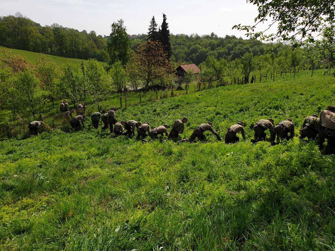 IMG-e90f1b5d47ad8d777da40fee24140c21-V