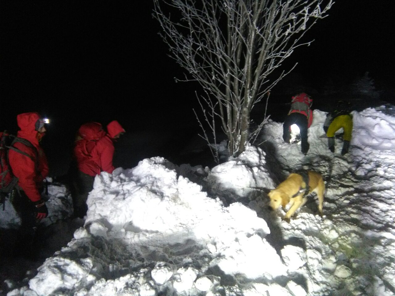 IMG-f5b9c20a978b62173c4ea03cf6efcf14-V