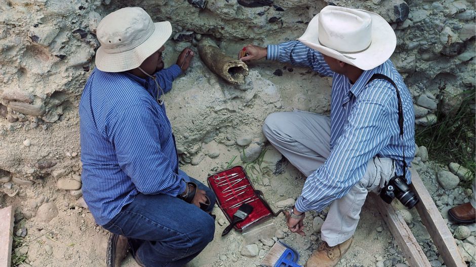 iskopavanja arheologija