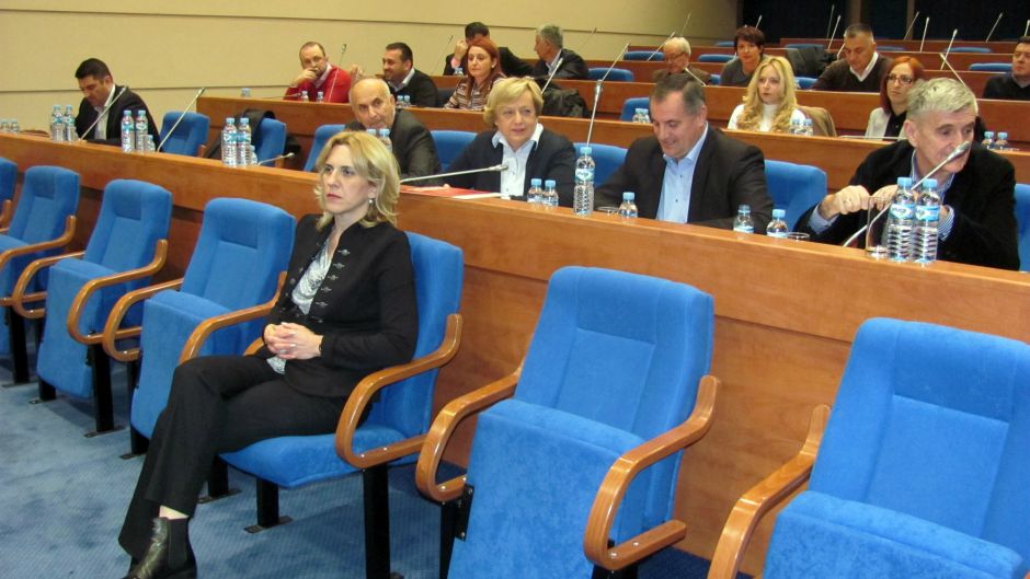 izvrsni odbor snsd srna