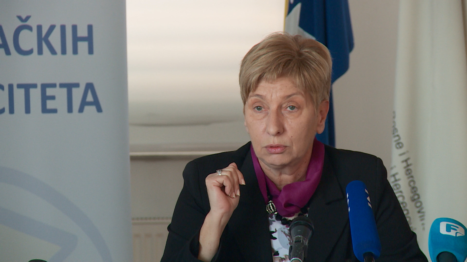 Jadranka Lokmić Misirača