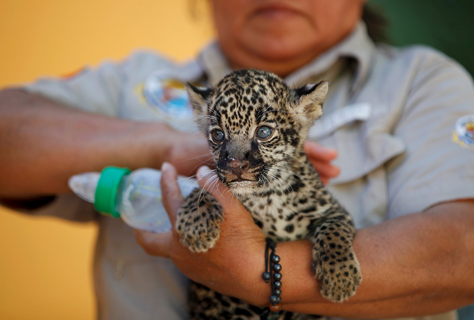 REUTERS/Jose Luis Gonzalez