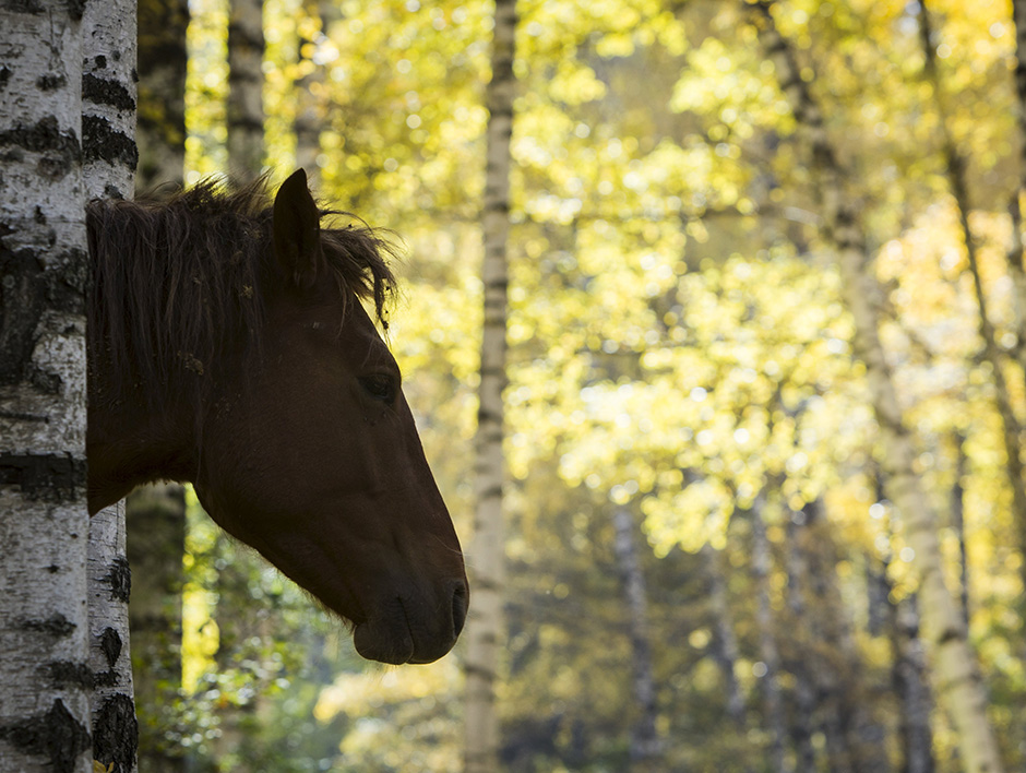 REUTERS/Shamil Zhumatov