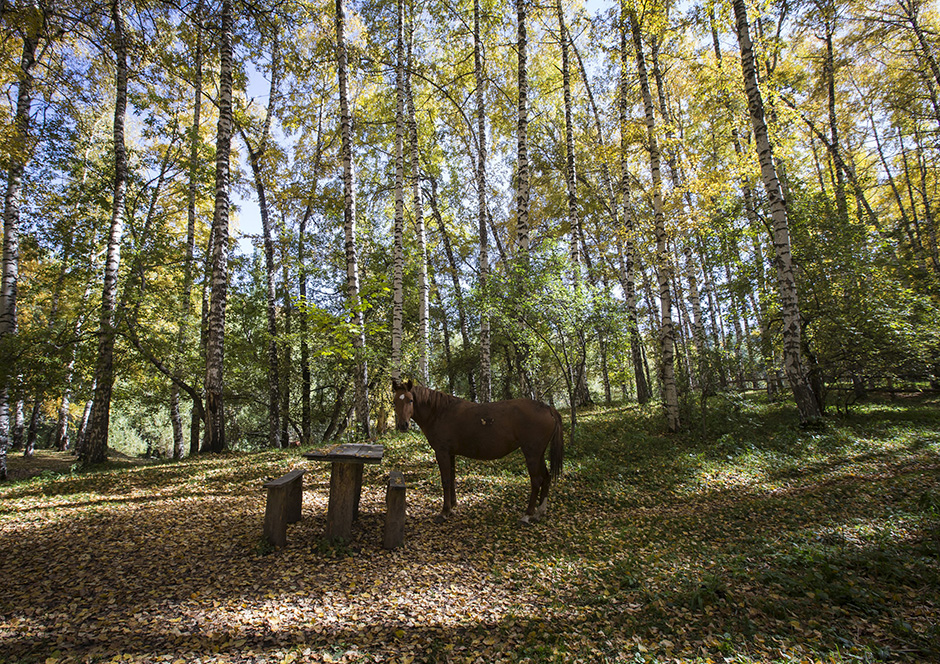 REUTERS/Shamil Zhumatov