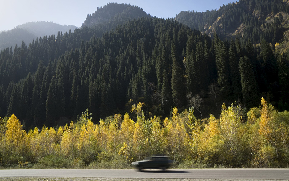 REUTERS/Shamil Zhumatov