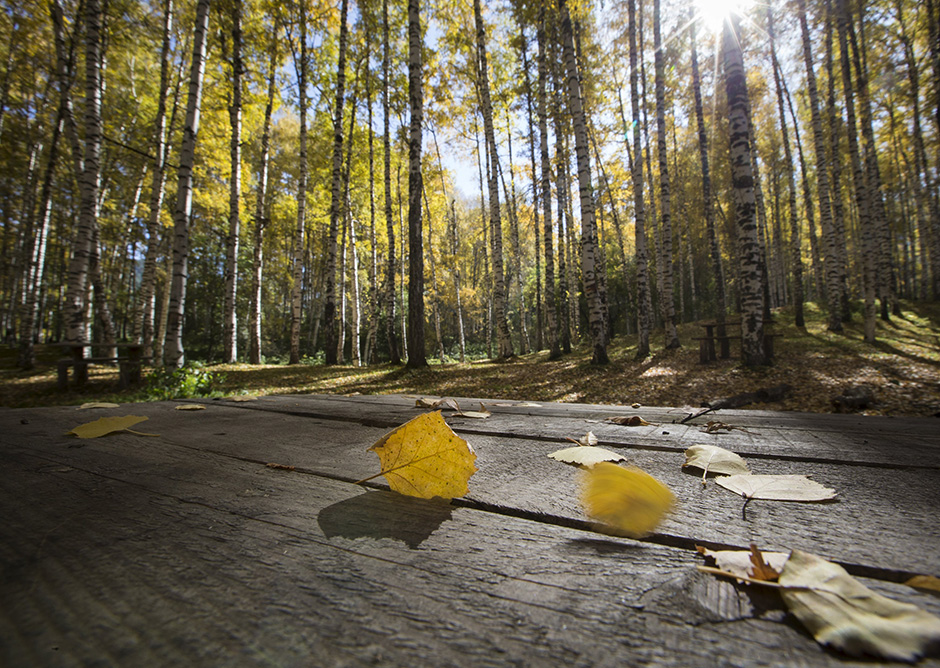 REUTERS/Shamil Zhumatov