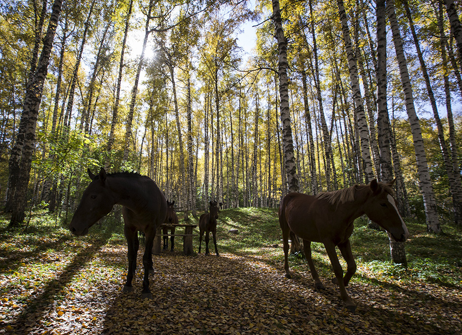 REUTERS/Shamil Zhumatov
