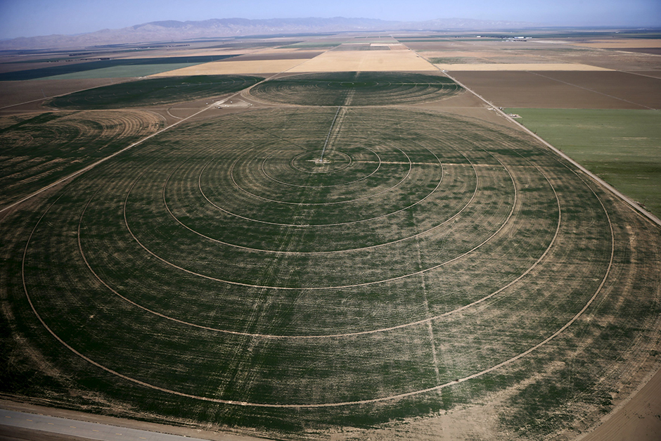 REUTERS/Lucy Nicholson