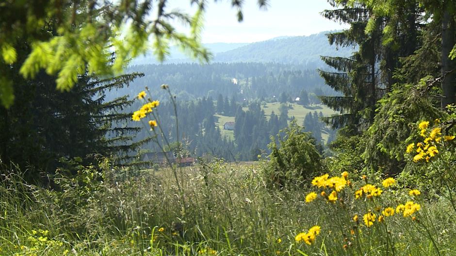 kamena_gora