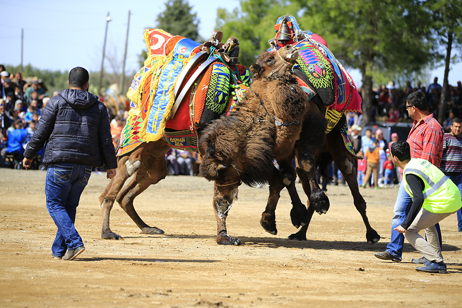 ANADOLIJA/Mustafa Çiftçi