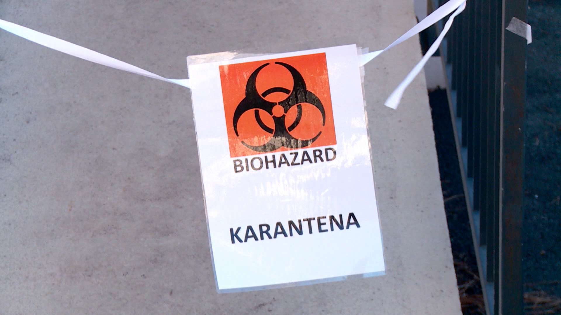 KORONA HRVATSKAa (3)