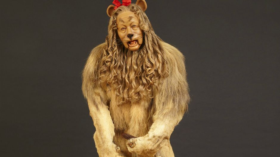 kostim carobnjak iz oza