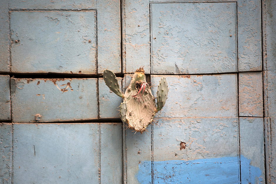 REUTERS/Alexandre Meneghini