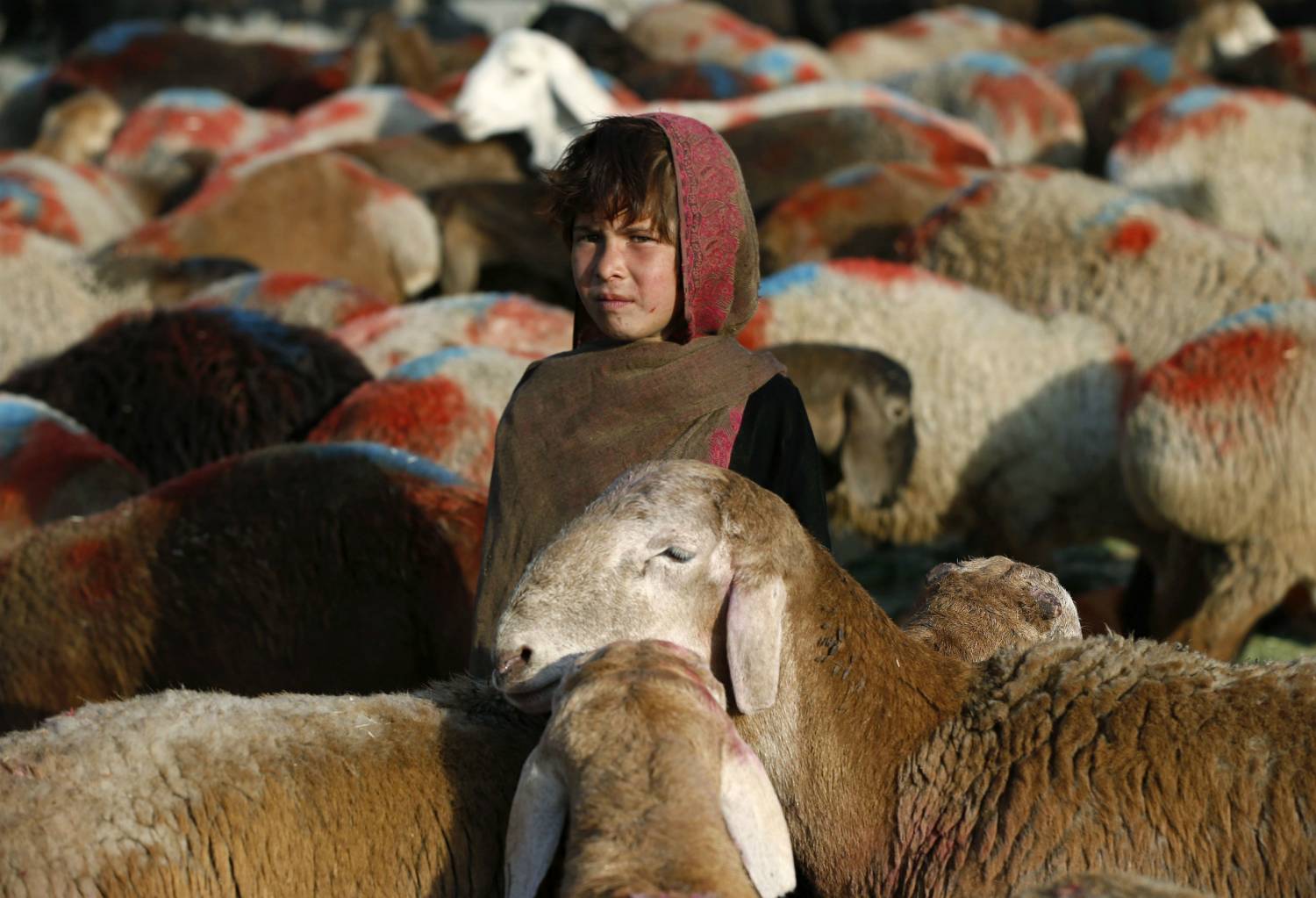 REUTERS/Mohammad Ismail