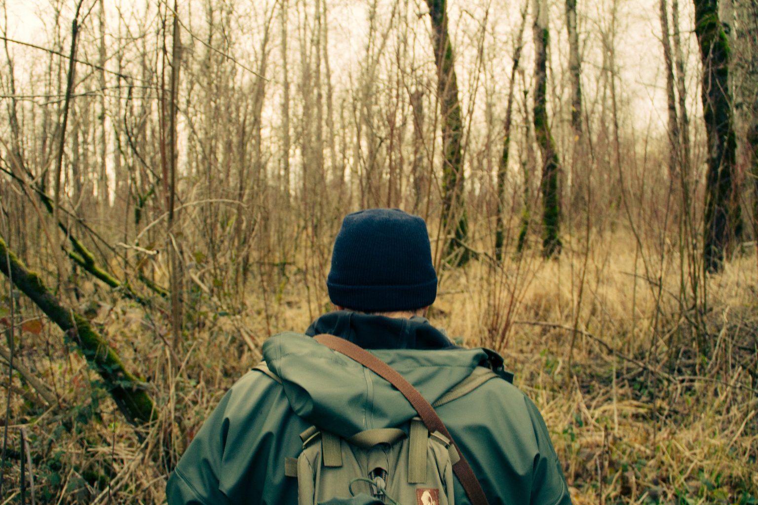 kyle-glenn-hHCw3V0jg_w-unsplash-1536x1024