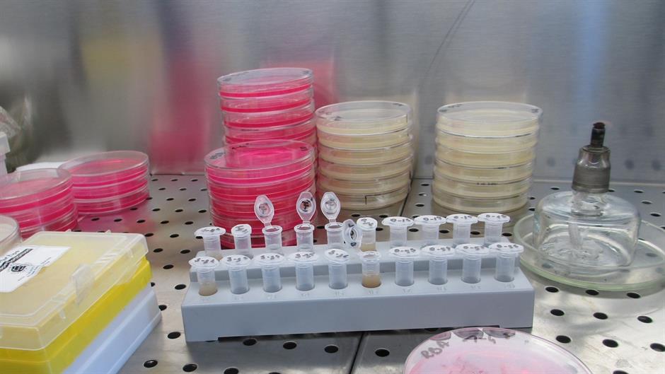 laboratory-829371_1920