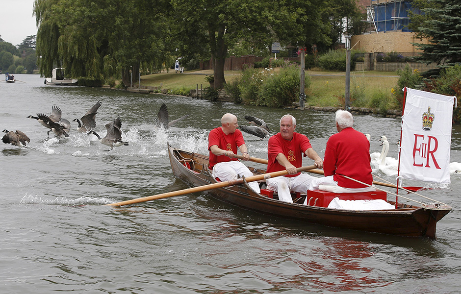REUTERS/Peter Nicholls