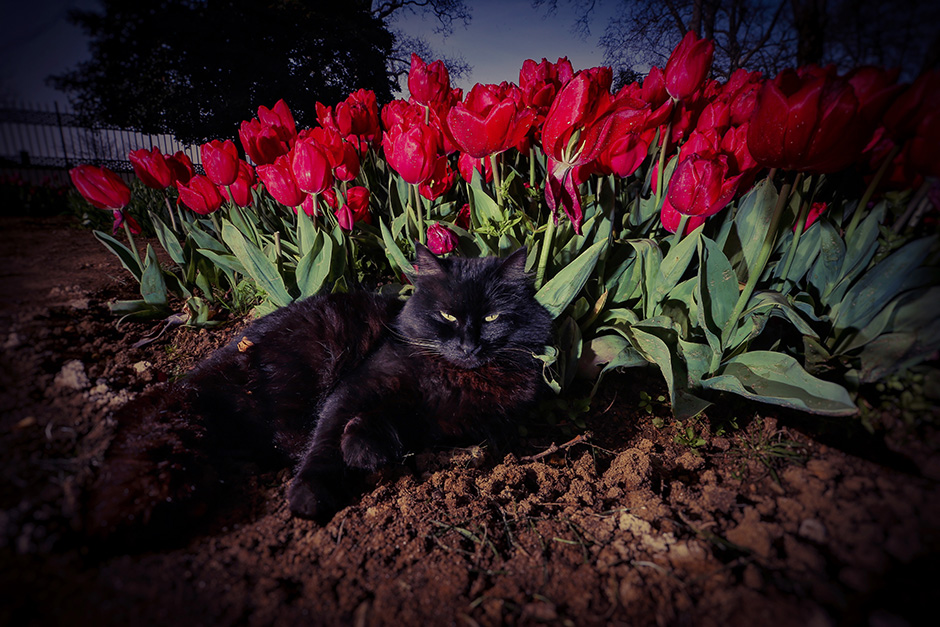 ANADOLIJA/Şebnem Coşkun