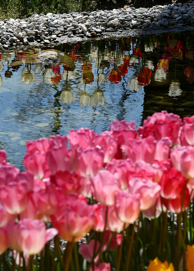 ANADOLIJA/Şebnem Coşkun