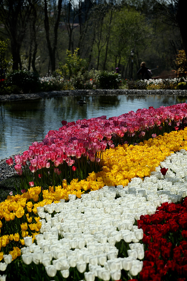 ANADOLIJA/Şebnem Coşkun