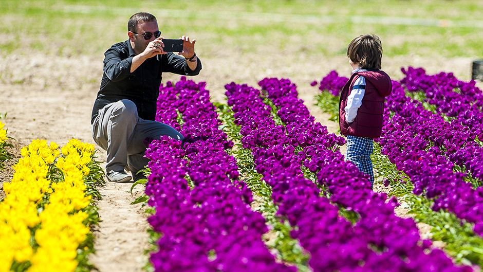 ANADOLIJA/Orhan Akkanat