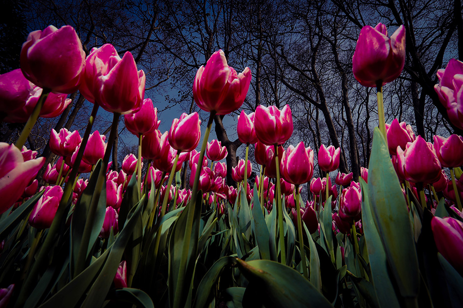 ANADOLIJA/Şebnem Coşkun