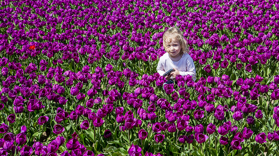 ANADOLIJA/Orhan Akkanat