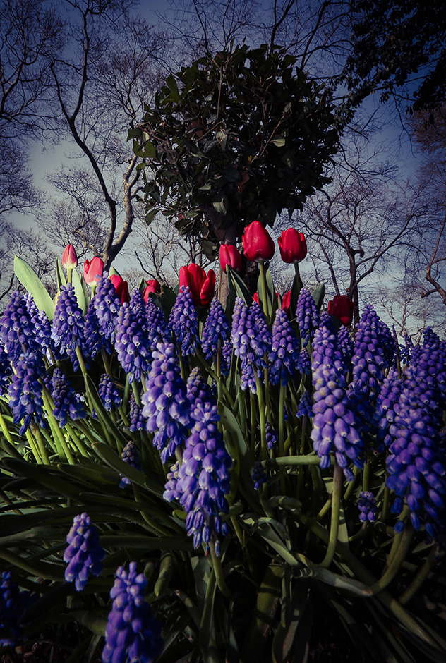ANADOLIJA/Şebnem Coşkun