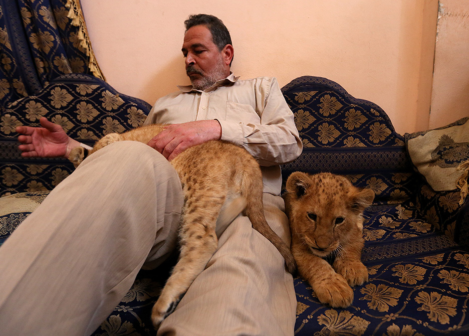 ANADOLIJA/Mahmoud Bassam