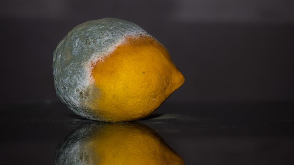 lemon-2146987_1920
