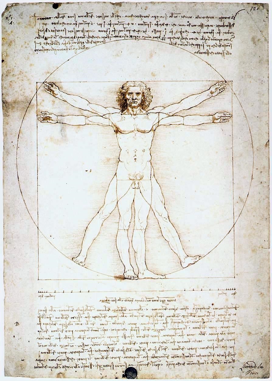 leonardo-da-vinci-vitruvian-man-301664.jpeg