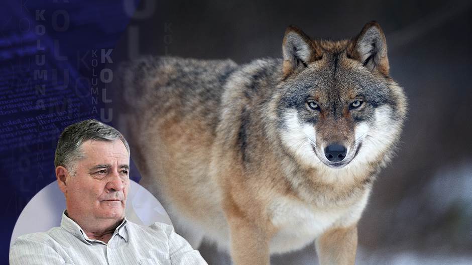 ljubodrag-kolumna-29