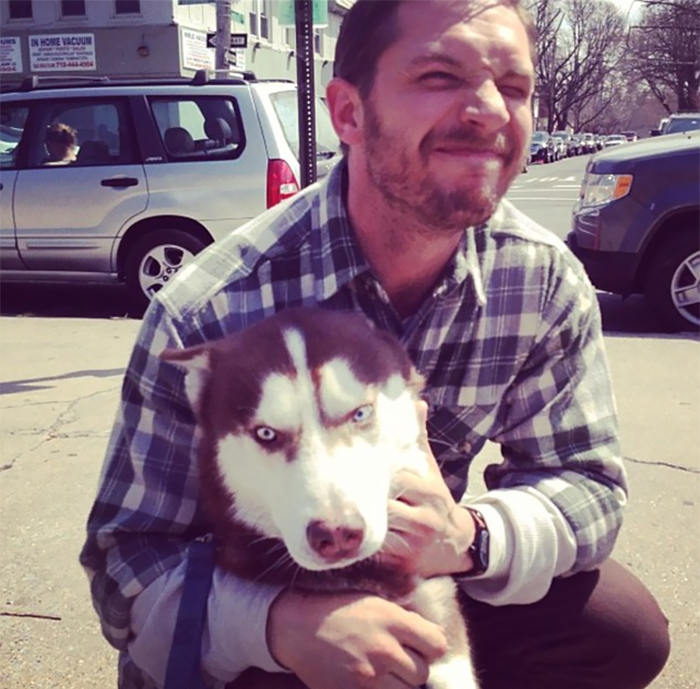 love-for-dogs-tom-hardy-23-59bf837029beb__700