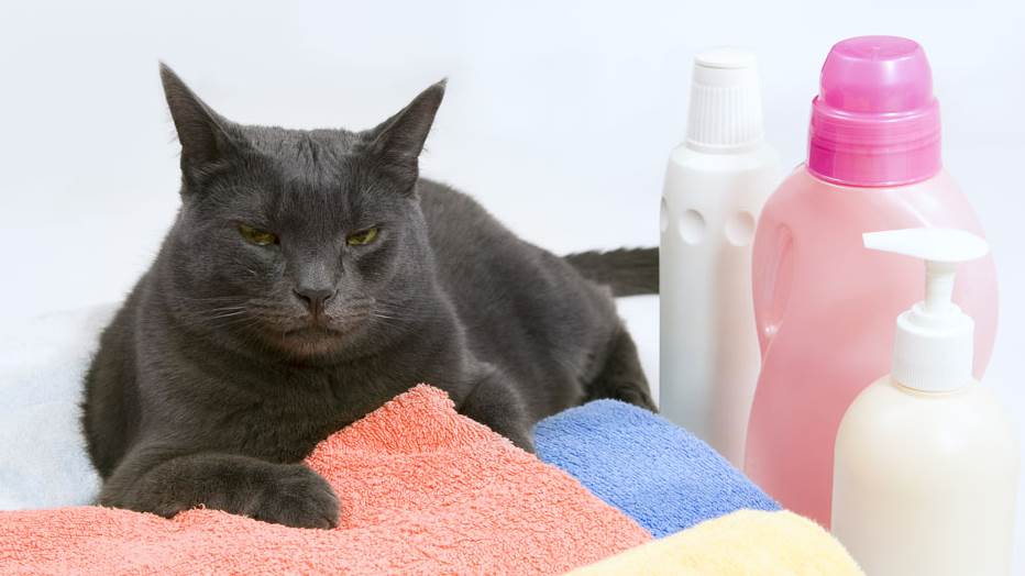 macka deterdzent opasnost