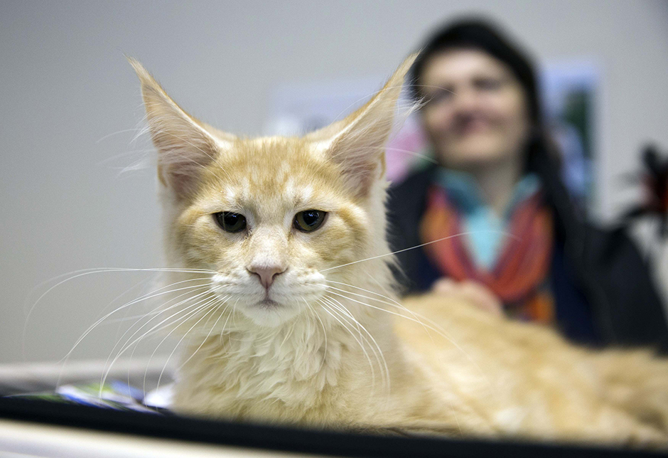 REUTERS/Vasily Fedosenko