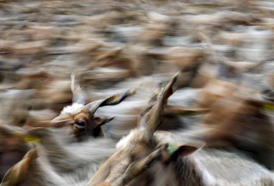 REUTERS/Laszlo Balogh