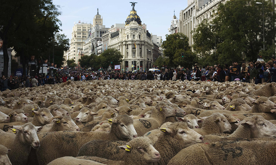 Madrid (1)