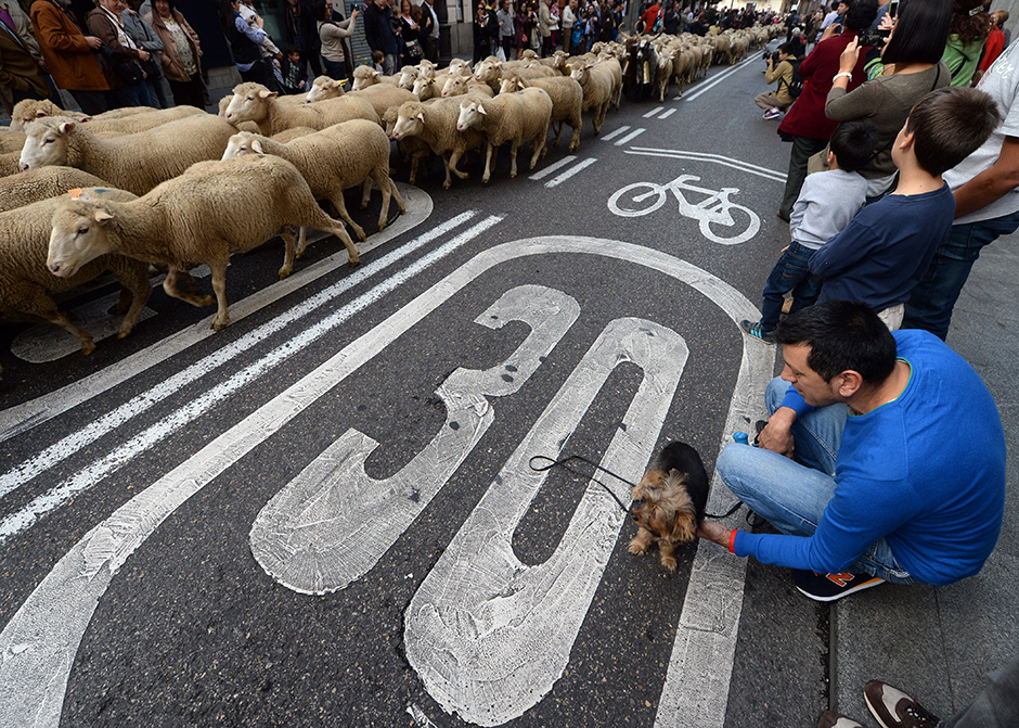 Madrid (5)