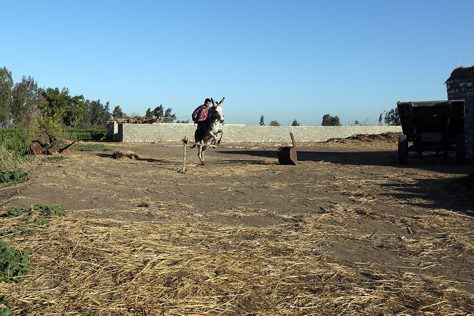 REUTERS/Mohamed Abd El Ghany