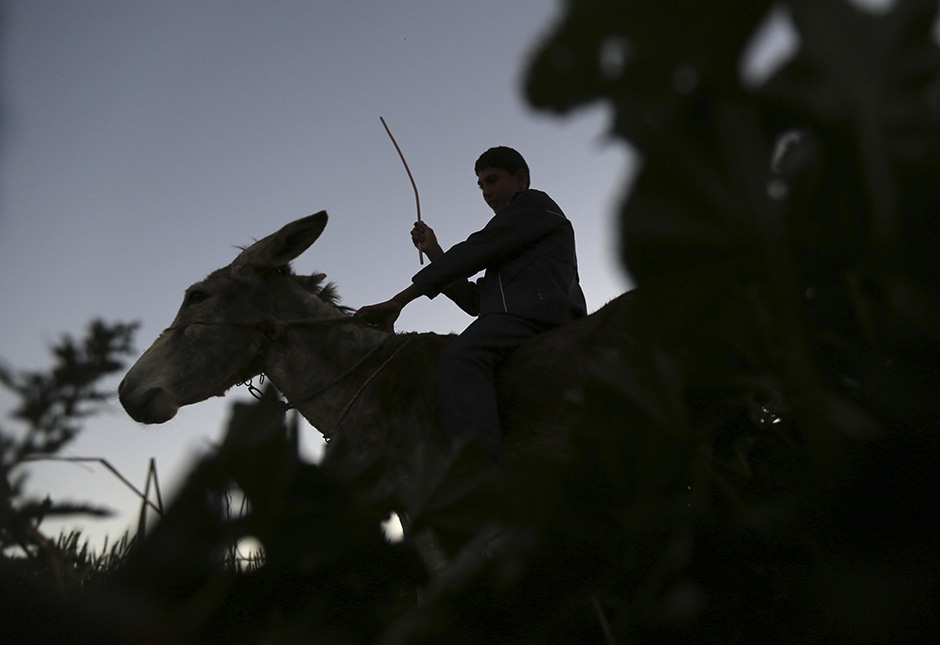 REUTERS/Mohamed Abd El Ghany