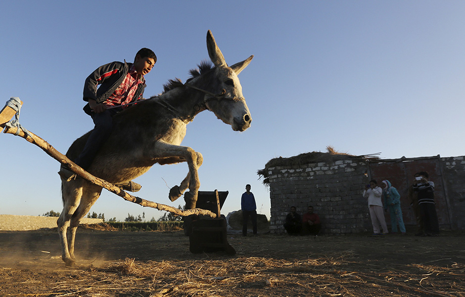REUTERS/Mohamed Abd El Ghany