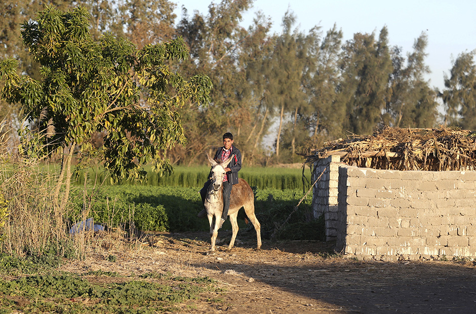 REUTERS/Mohamed Abd El Ghany