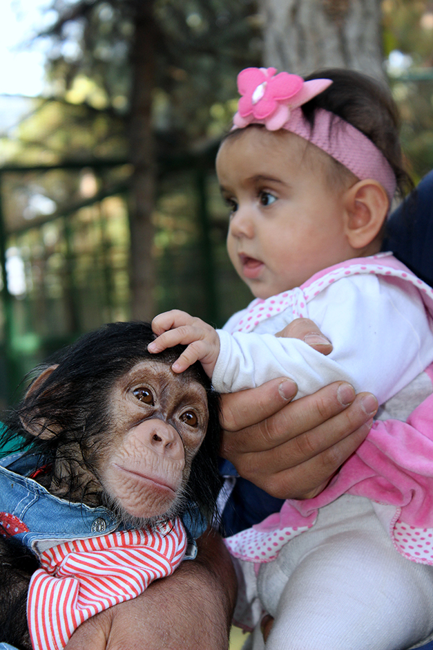 ANADOLIJA/Özkan Beyer