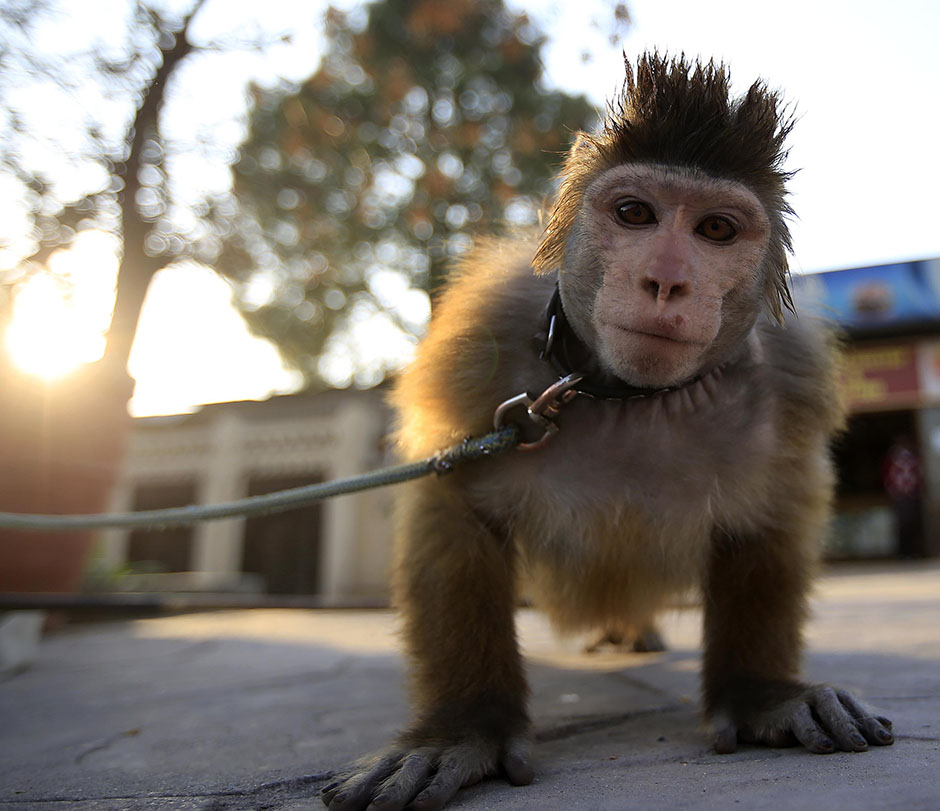 ANADOLIJA/Metin Aktas