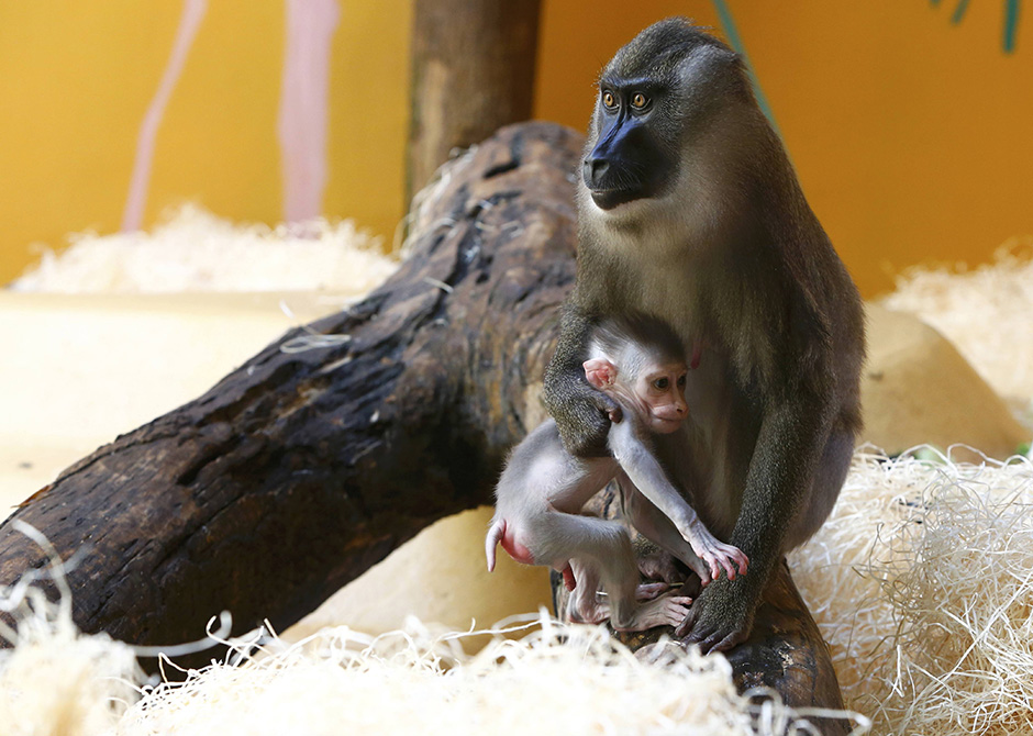 REUTERS/Michaela Rehle