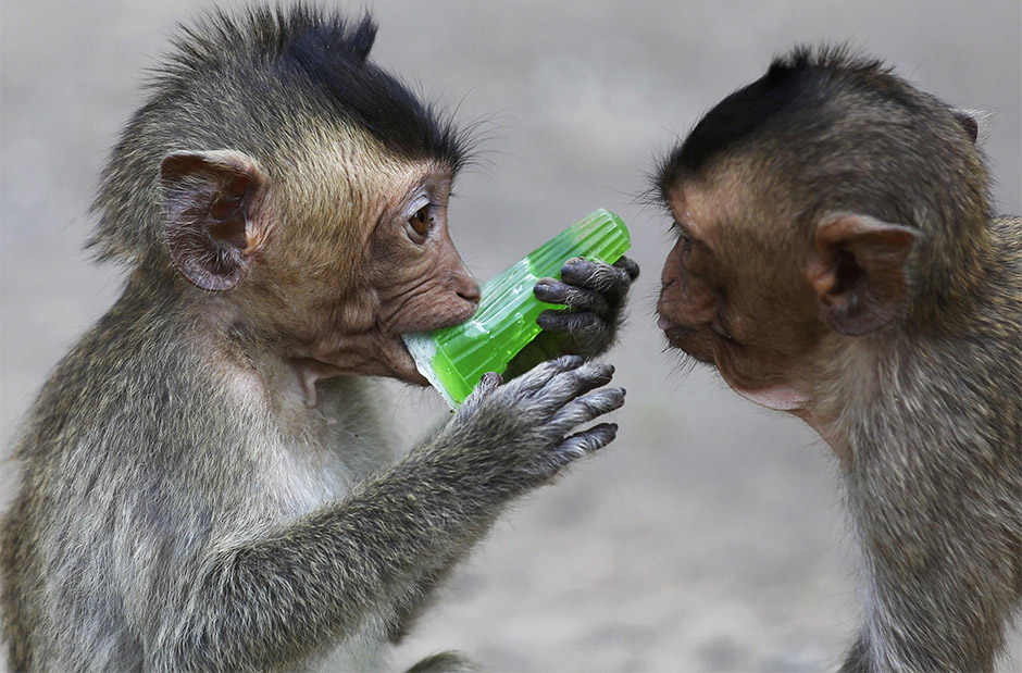 REUTERS/Damir Šagolj