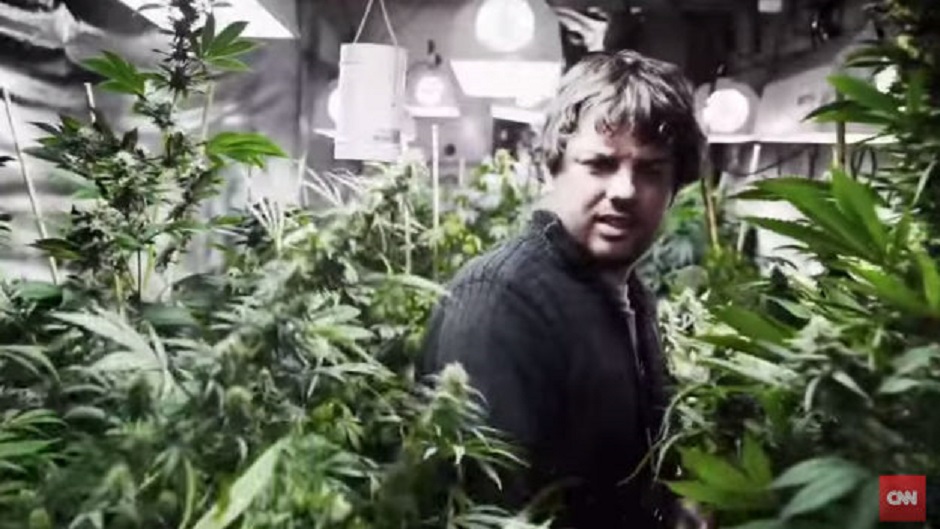 marihuana_cnn