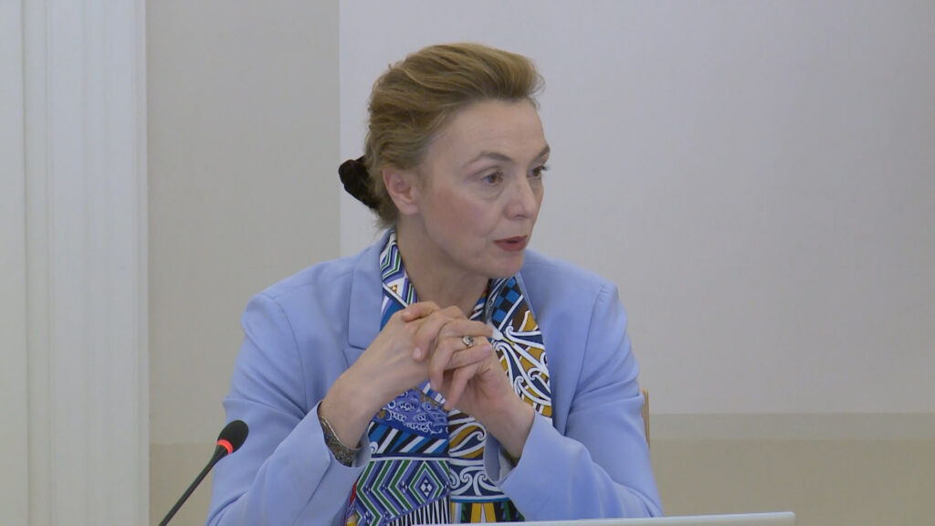 marija pejcinovic buric