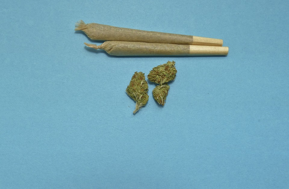 marijuana, joint