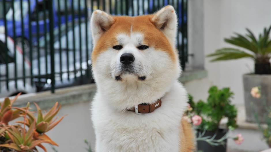 mario-cannata-WfCDnl1qH7M-unsplash